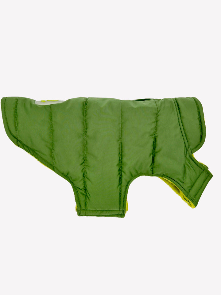 DOG COAT GREEN