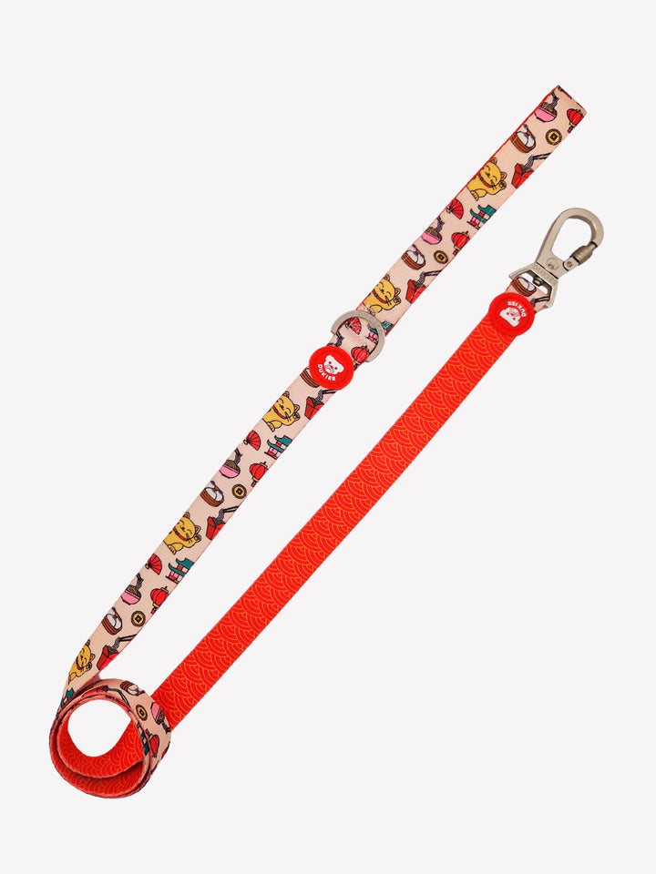 ASIAN LEASH FOR DOGS