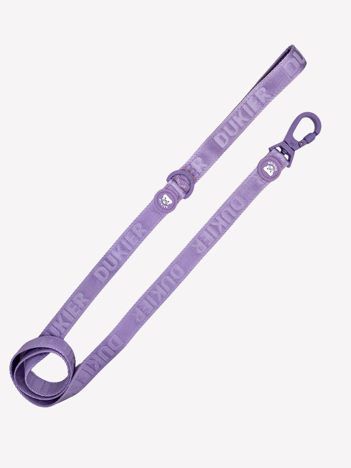 LAISSE VIOLET POUR CHIEN