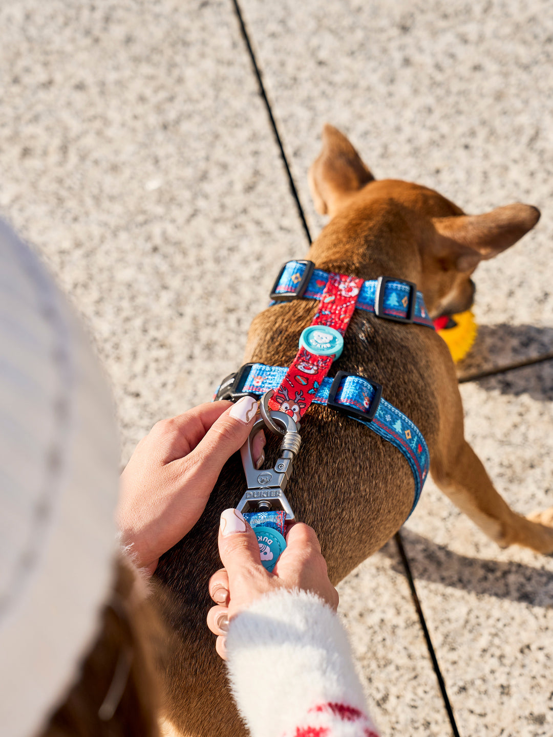 XMAS JUMPER CLASSIC DOG HARNESS