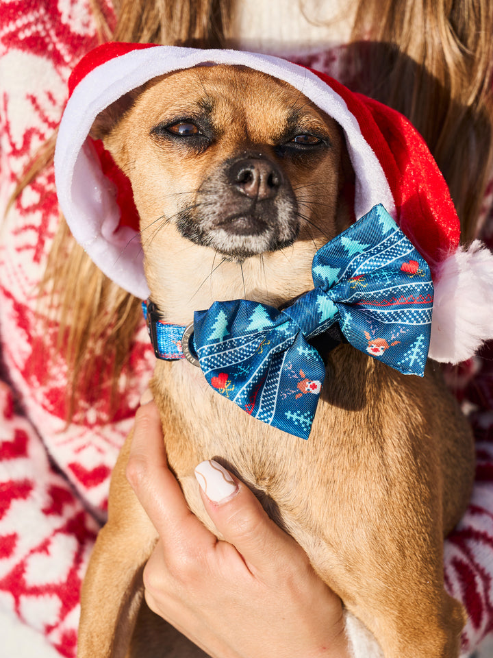 PAJARITA PARA PERRO XMAS JUMPER