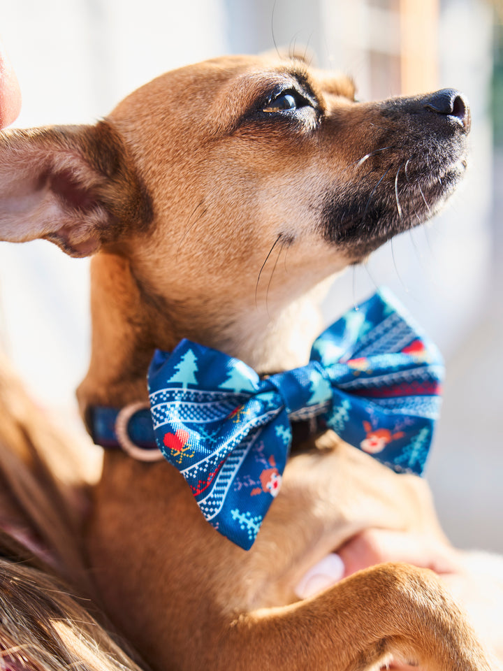 COLLAR PARA PERRO XMAS JUMPER