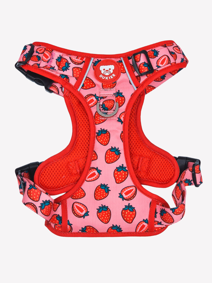 TRAIL DOG HARNESS BERRY LOVE