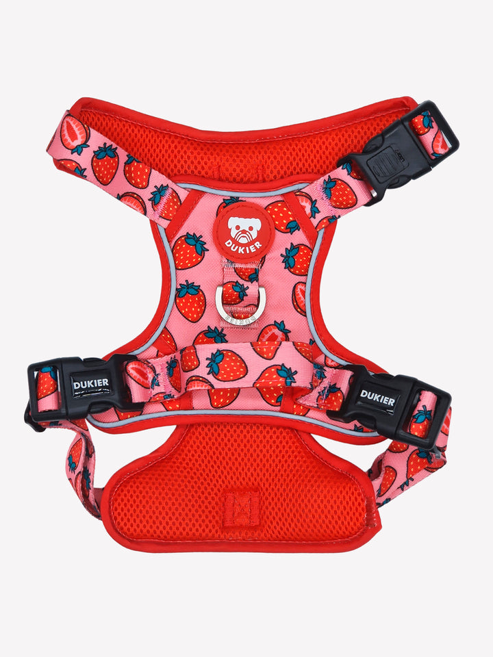 TRAIL DOG HARNESS BERRY LOVE