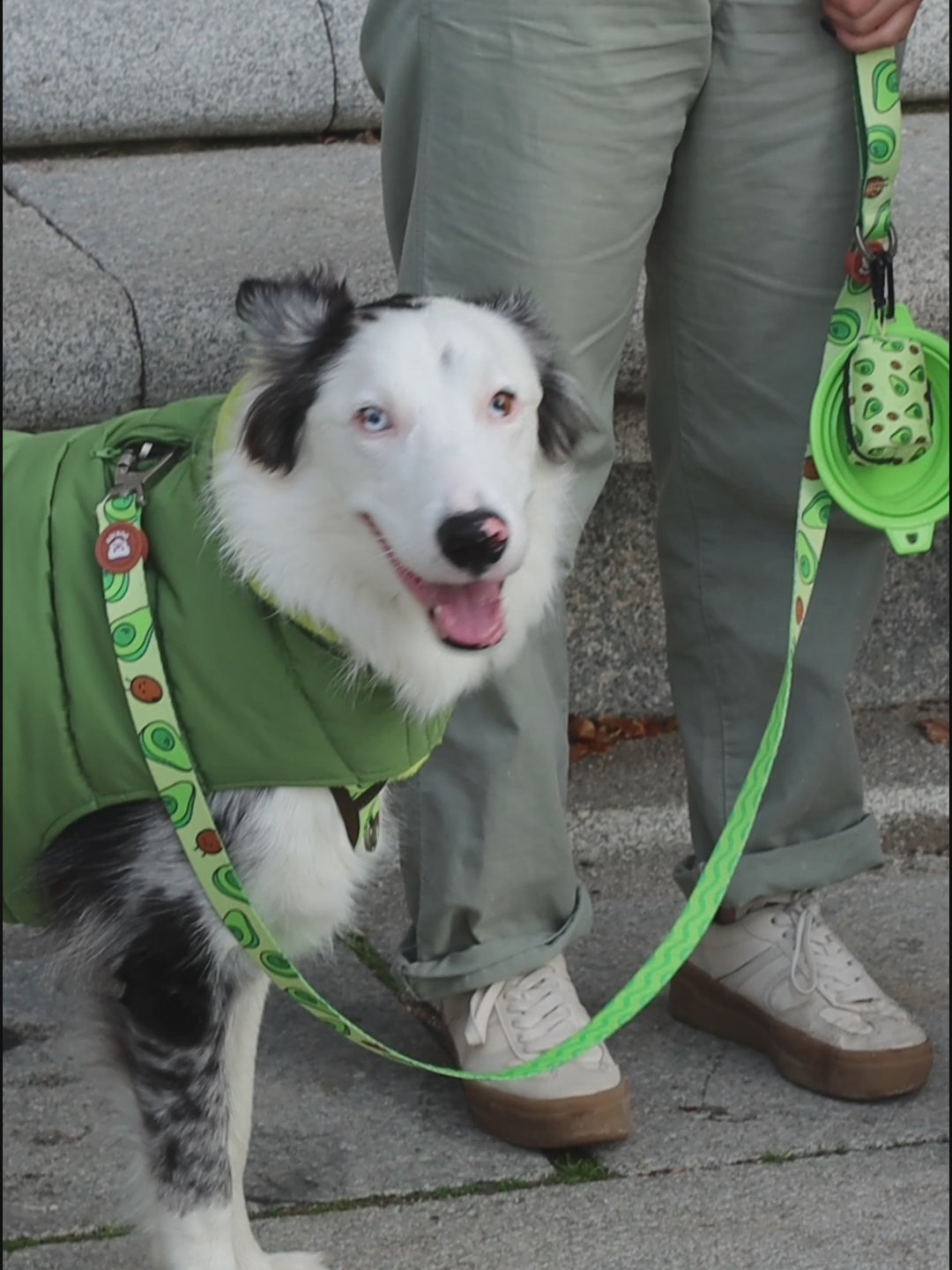 DOG COAT GREEN