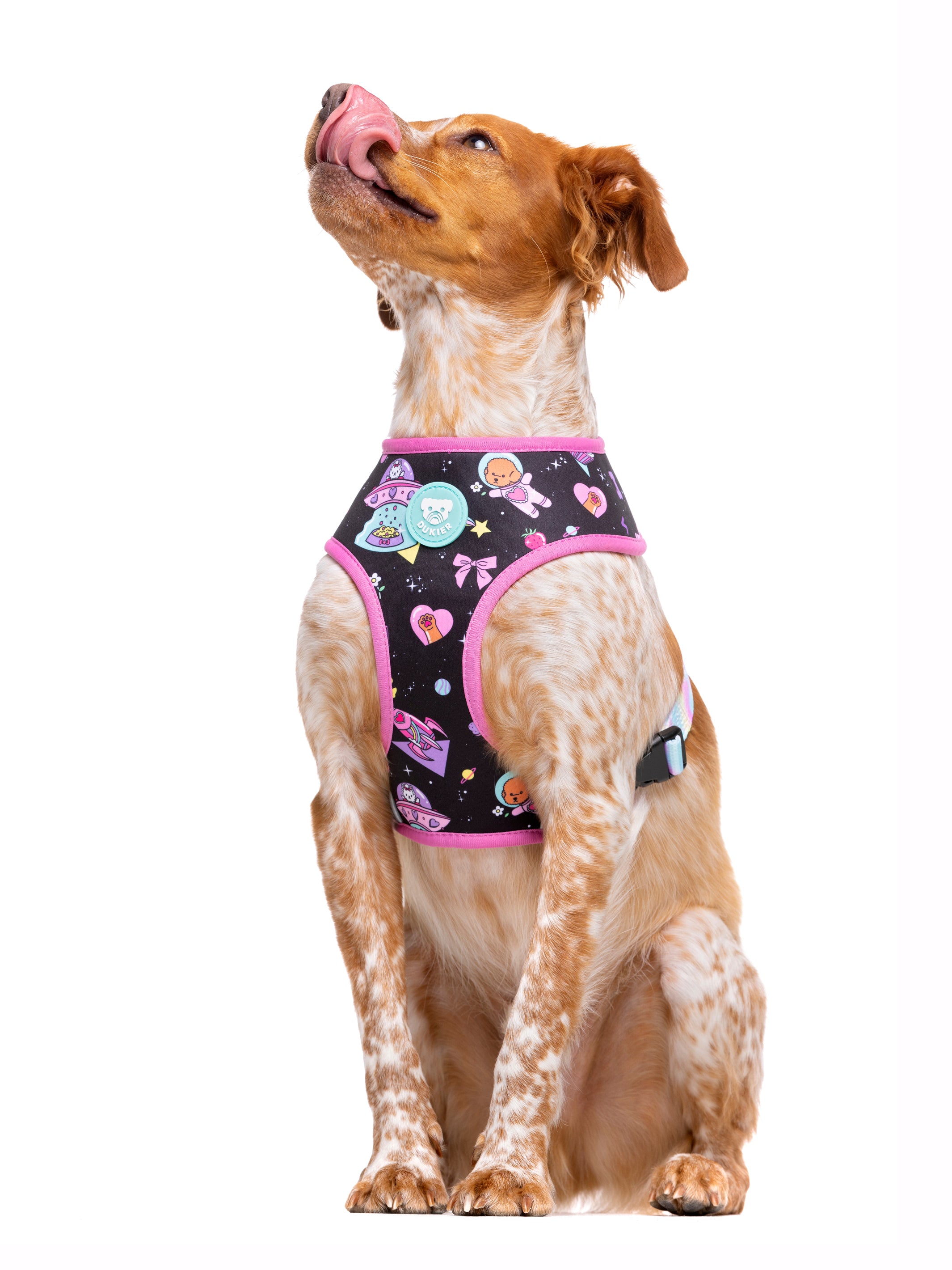 Galaxy clearance dog harness