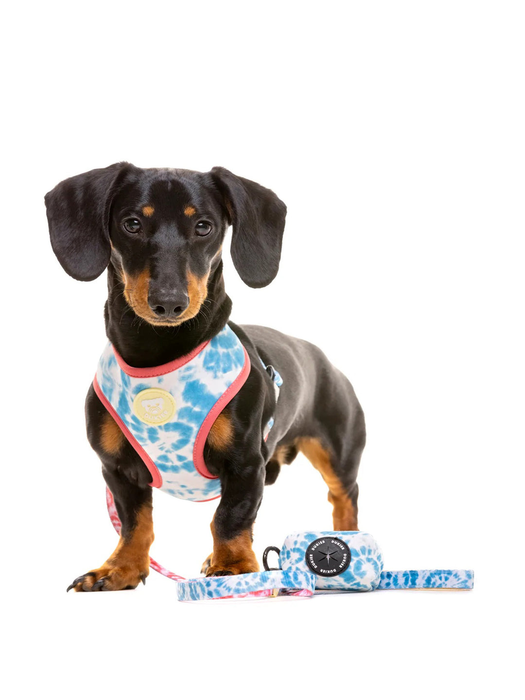 LAISSE TIE-DYE POUR CHIEN 