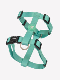 BASICS CLASIC HARNESSES